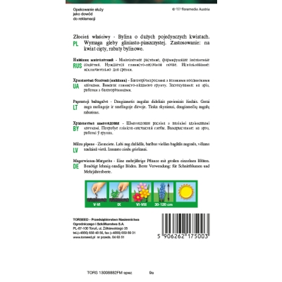 Złocień Właściwy Shasta Daisy nasiona kwiatów